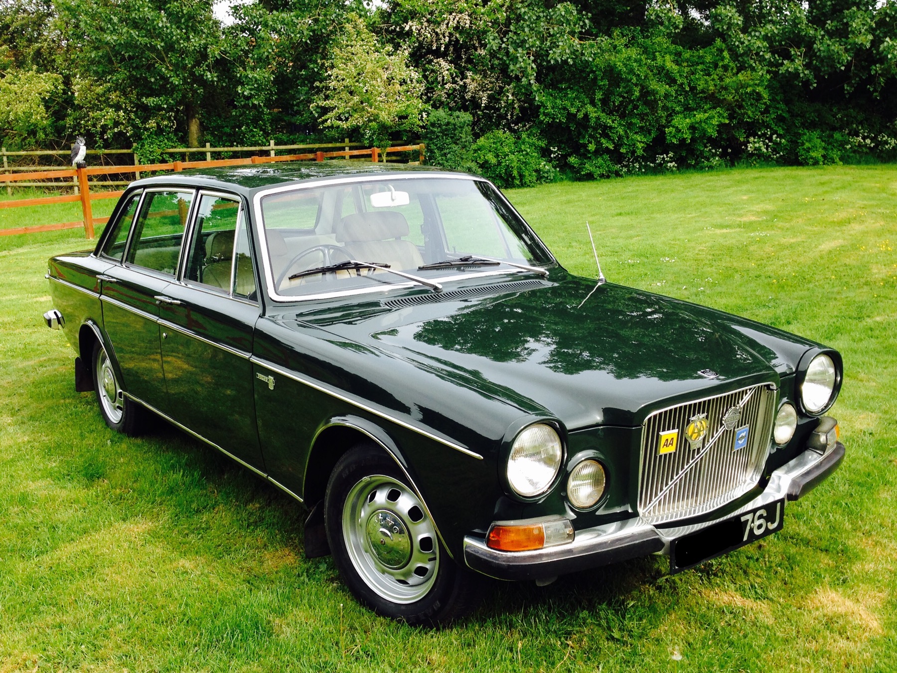1970 Volvo 164