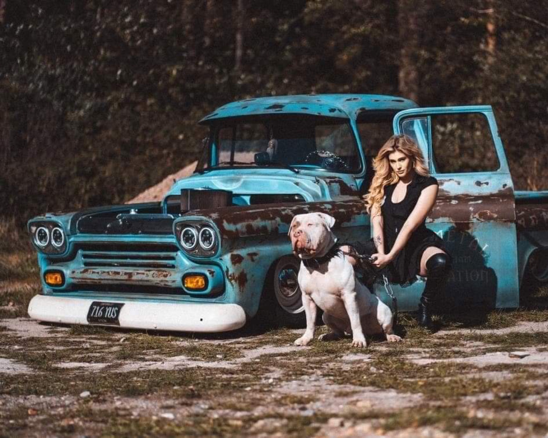 1959 Chevrolet Pickup