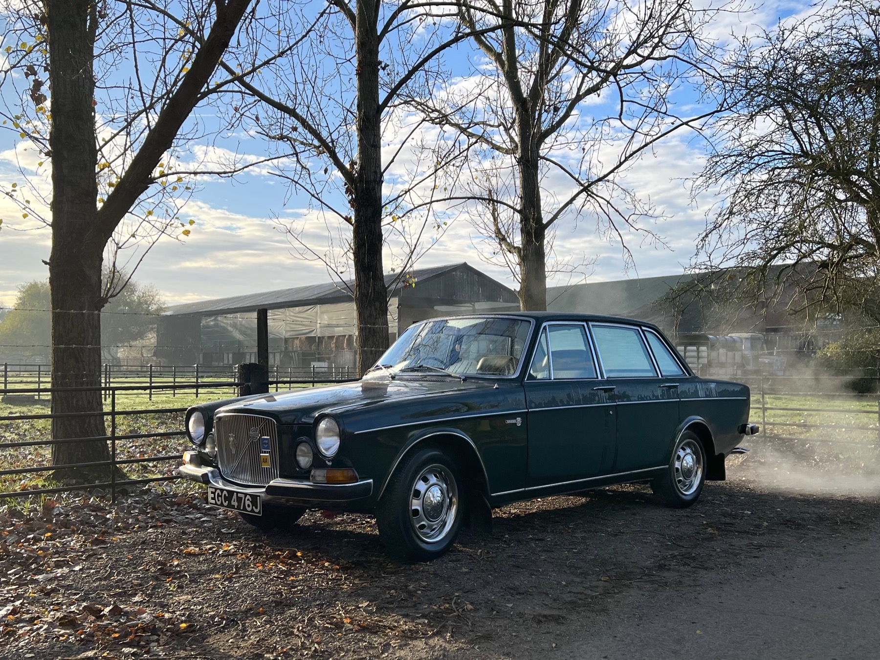 1970 Volvo 164
