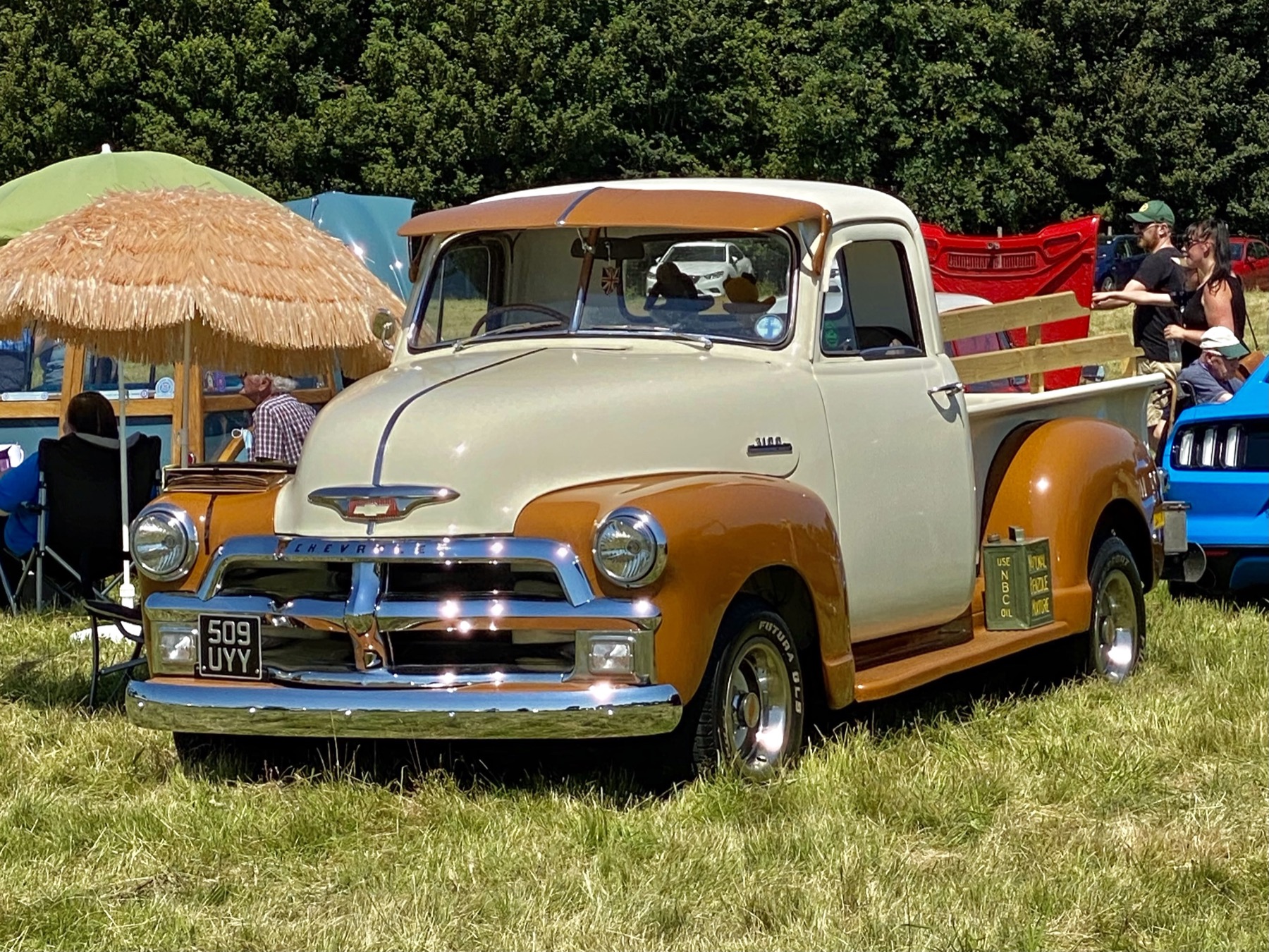 1954 Chevrolet Pickup