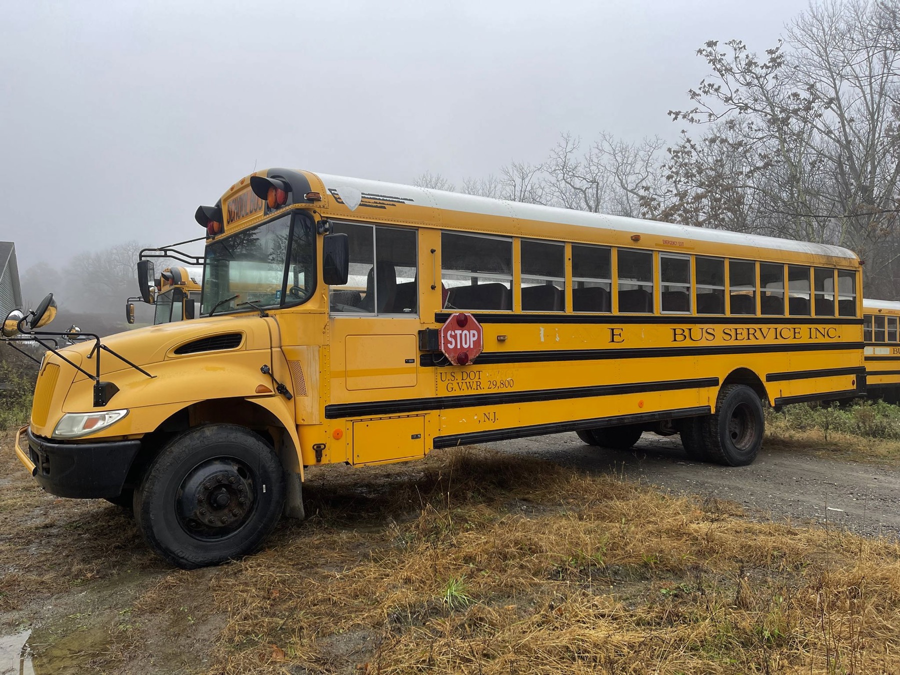 1970s to 2000s American School Buses