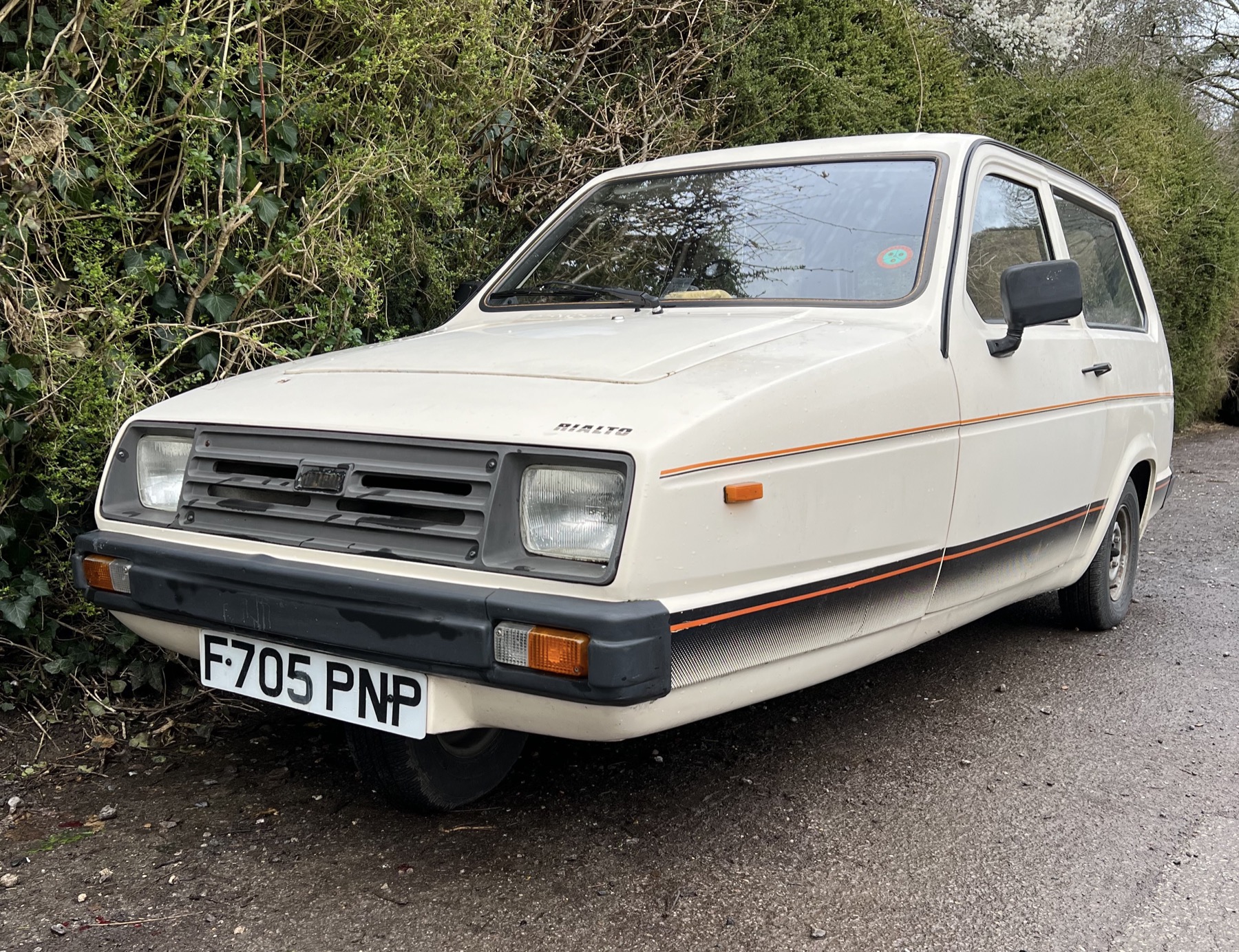 1986 Reliant Rialto