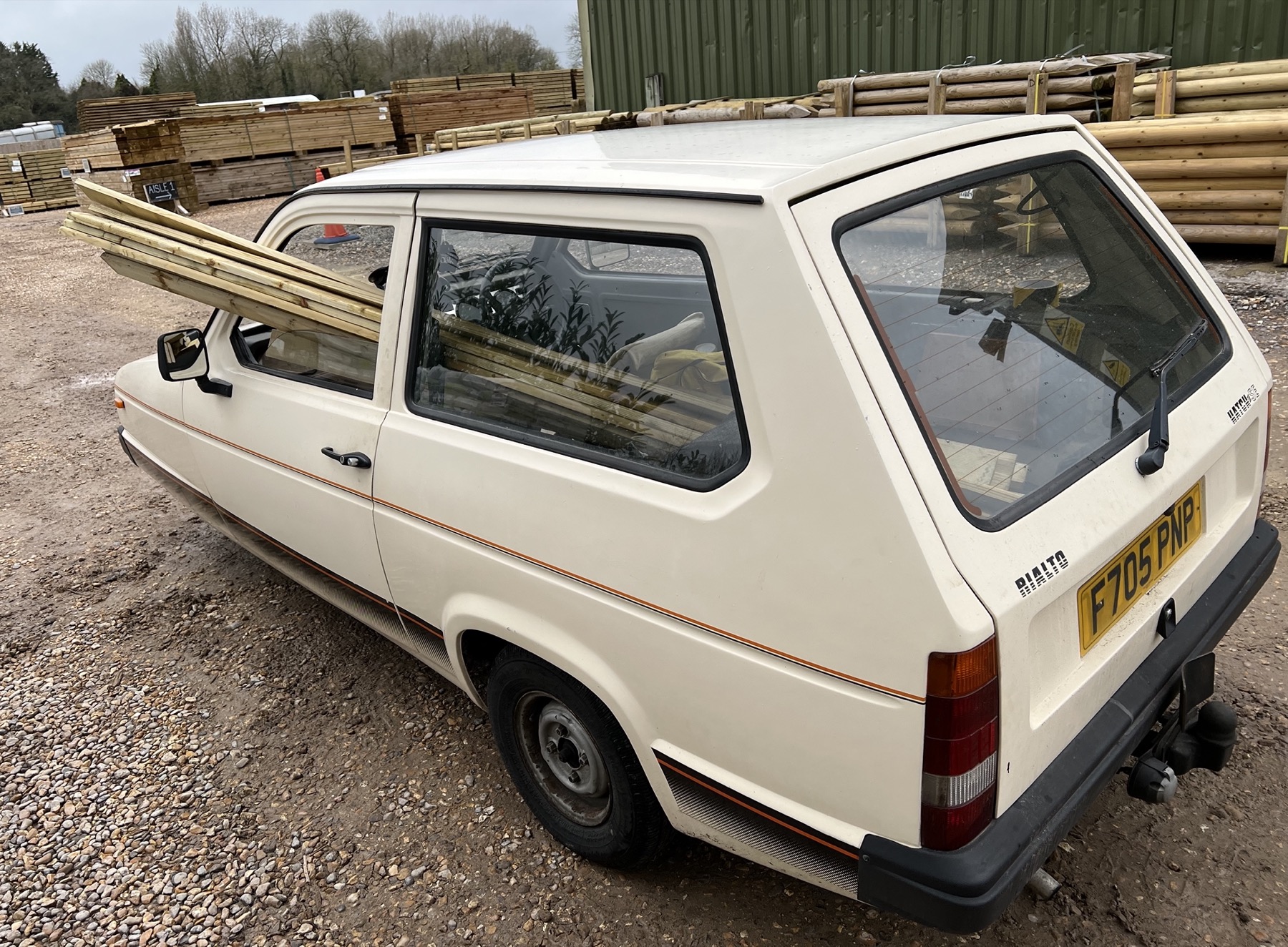 1986 Reliant Rialto