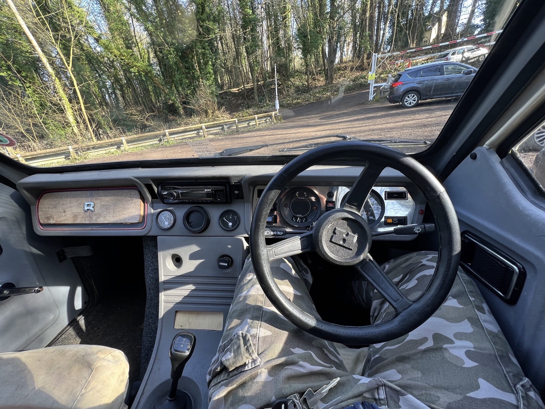 1986 Reliant Rialto