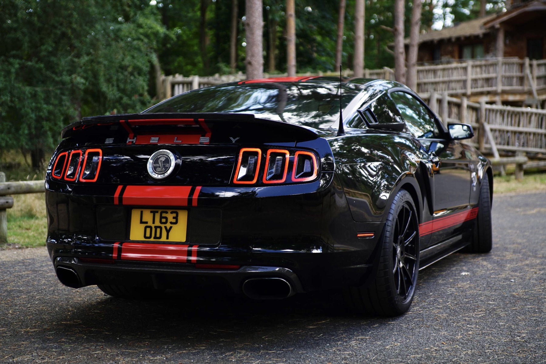 2014 Shelby Ford GT500