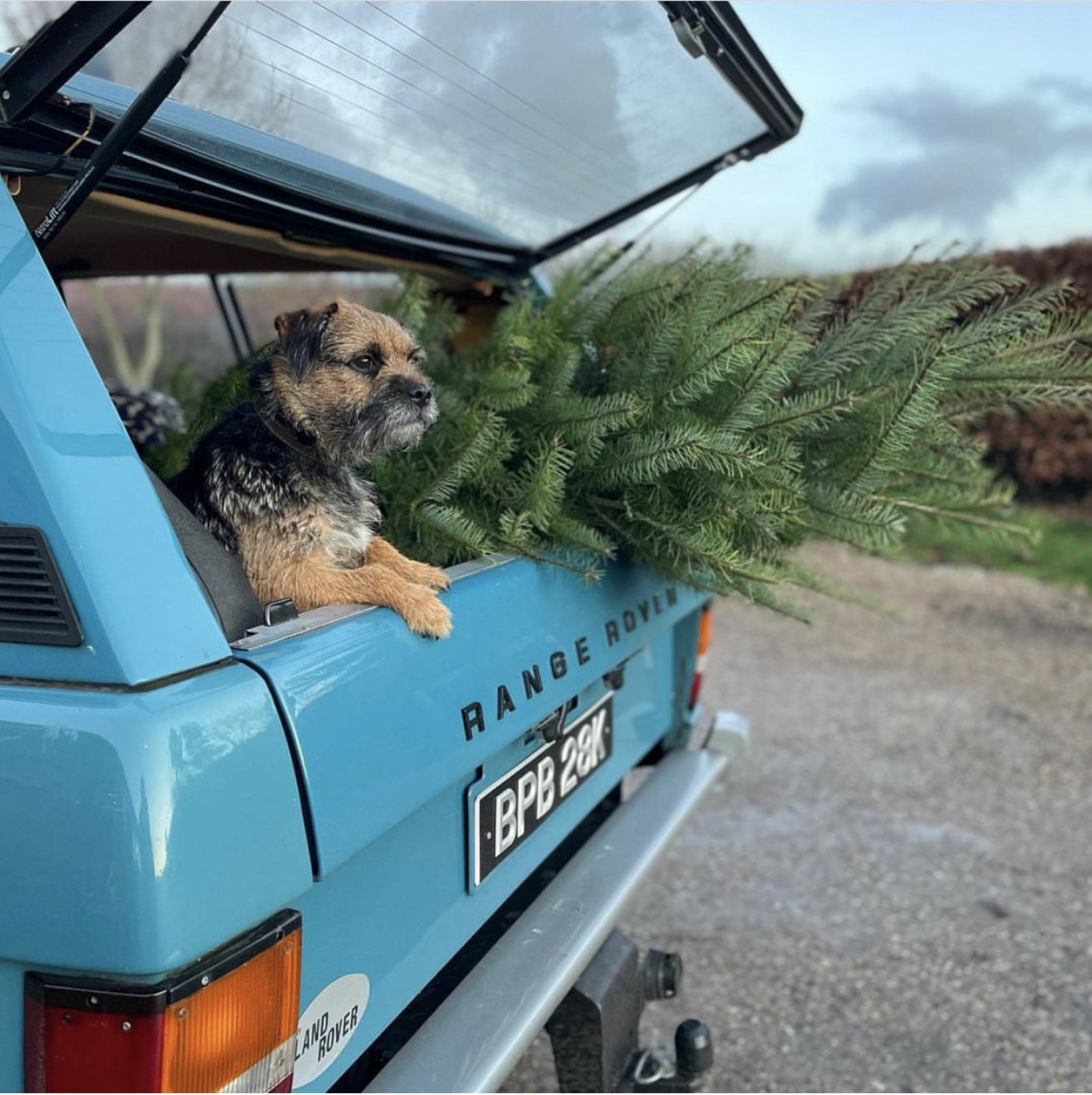 1972 Range Rover